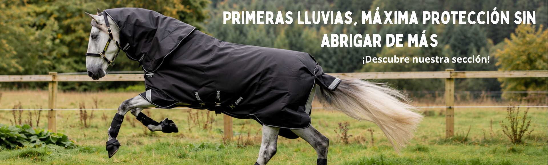LLUVIA